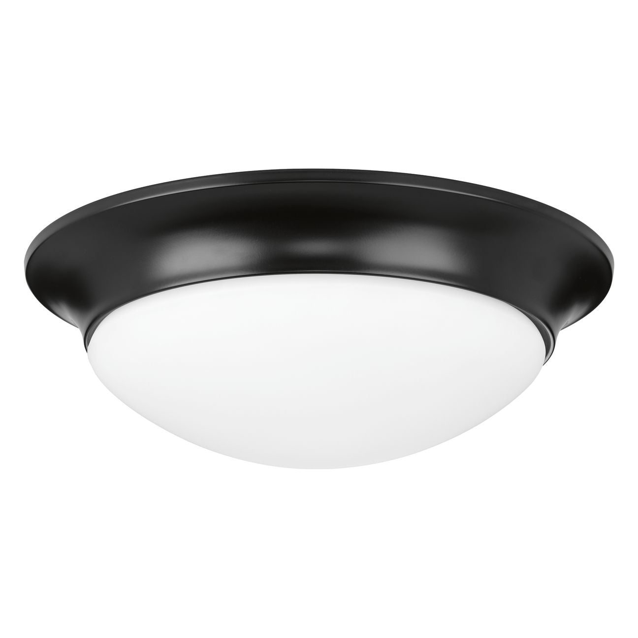Ceiling Light / Fan